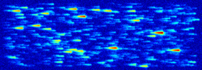 Raw
      photometric data