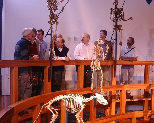 Klikken om terug te gaan naar het foto-overzicht